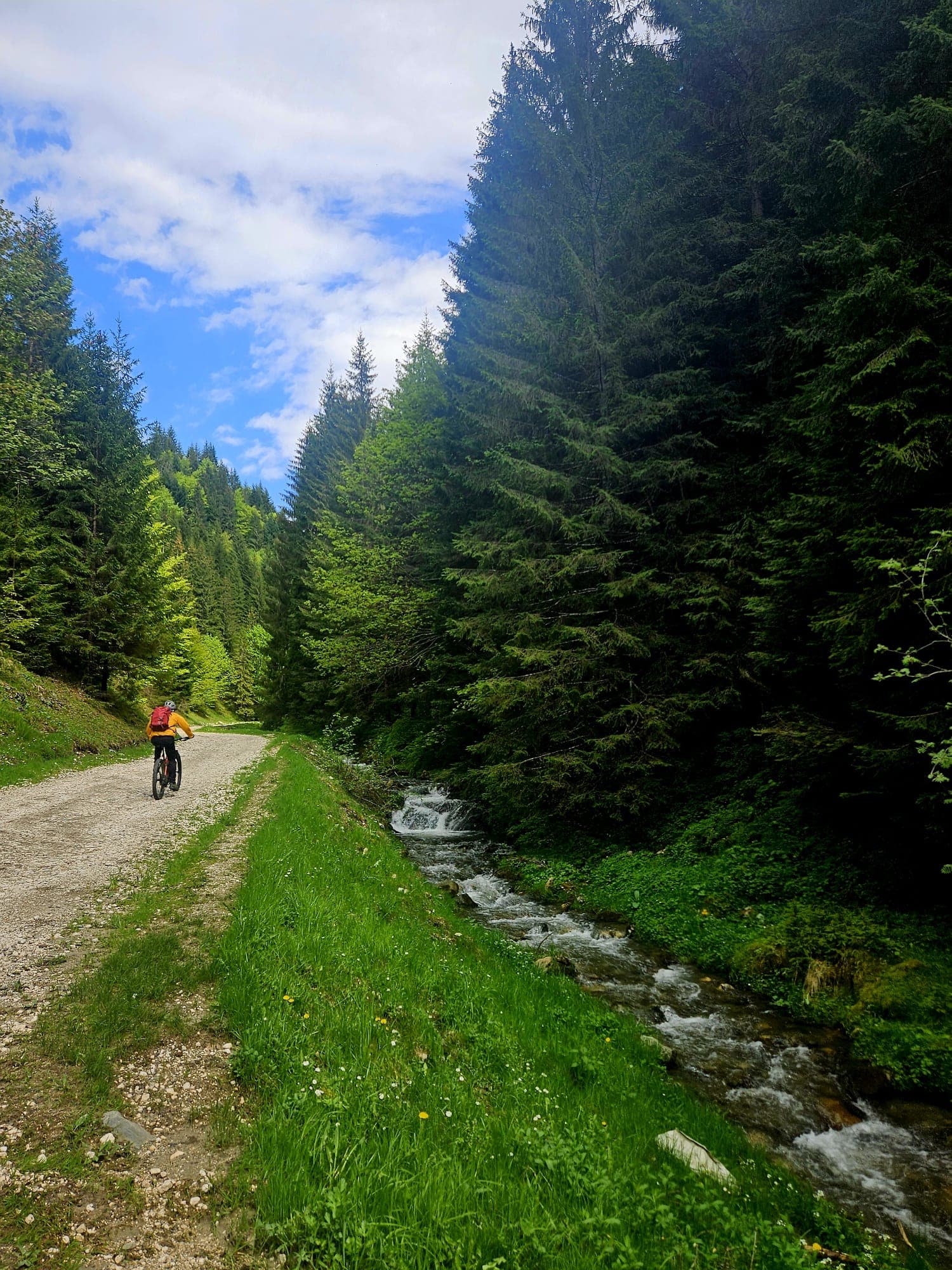 Vale în zona Moieciu